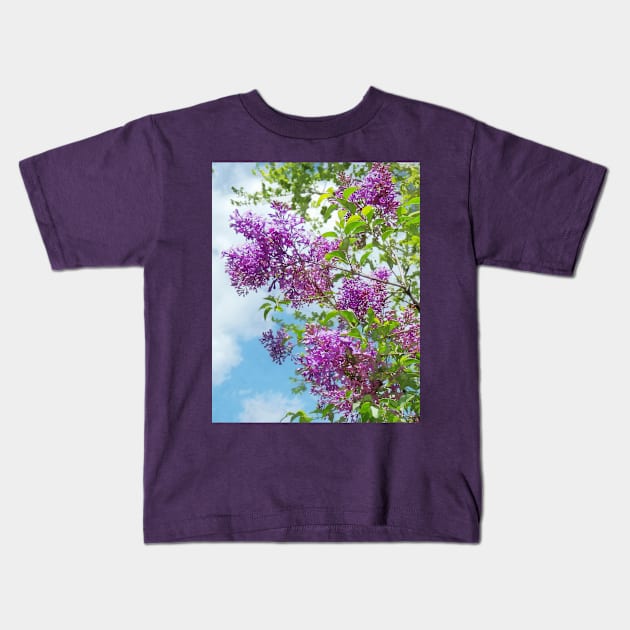 Lilacs on a Sunny Day Kids T-Shirt by SusanSavad